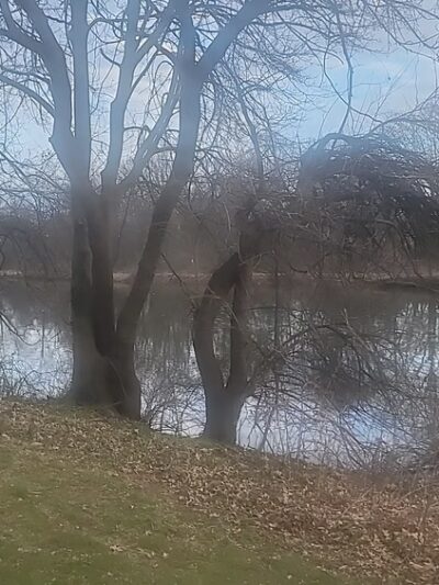 Nassau Park - Somerset, NJ
