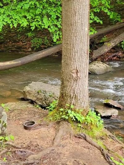 Jones Mill Run Dam - Somerset, PA