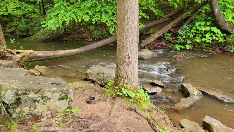 Jones Mill Run Dam - Somerset, PA
