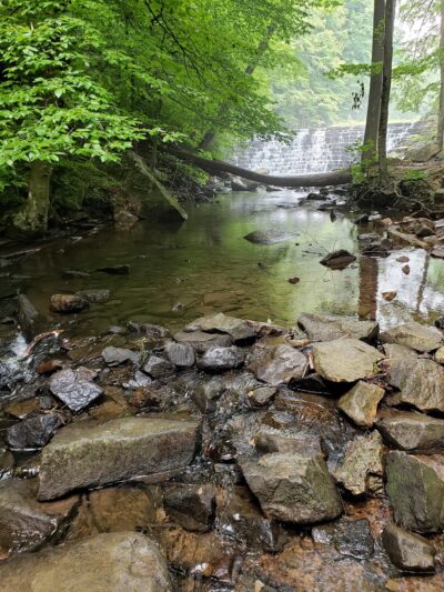 Jones Mill Run Dam - Somerset, PA