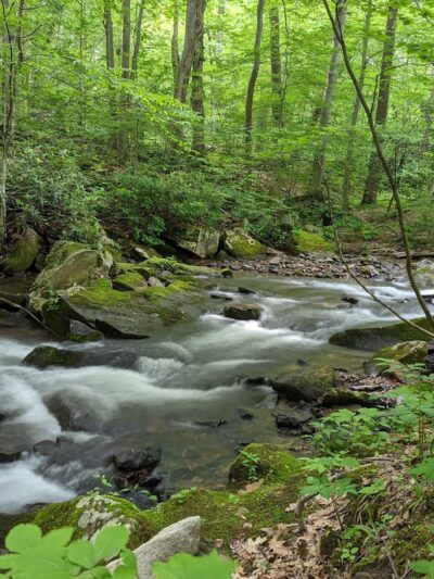 Jones Mill Run Dam - Somerset, PA
