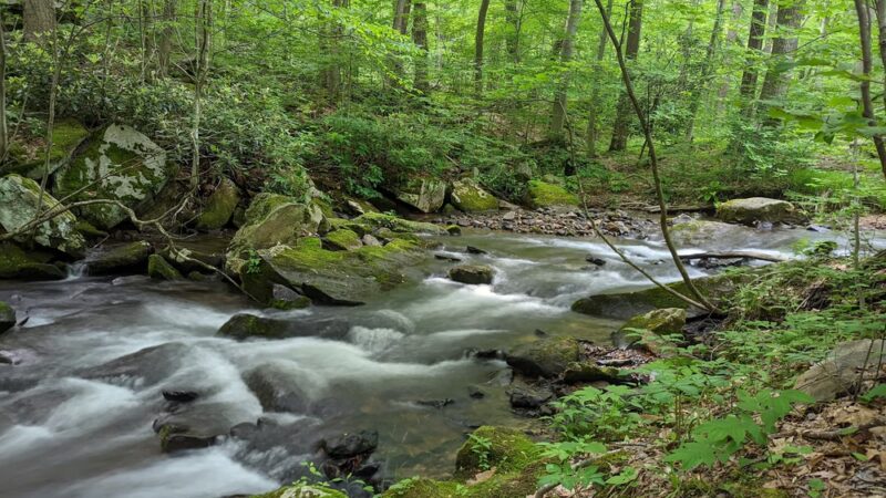 Jones Mill Run Dam - Somerset, PA