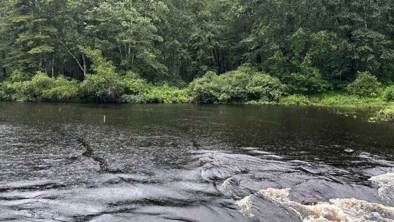 Mast Point Dam Recreation Area - Somersworth, NH
