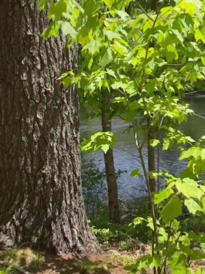 Mast Point Dam Recreation Area - Somersworth, NH