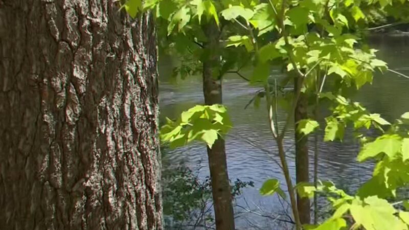 Mast Point Dam Recreation Area - Somersworth, NH