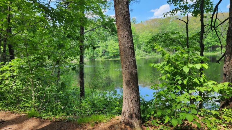Mast Point Dam Recreation Area - Somersworth, NH