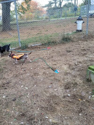 Millennium Park Playground - Somersworth, NH