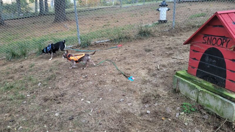 Millennium Park Playground - Somersworth, NH