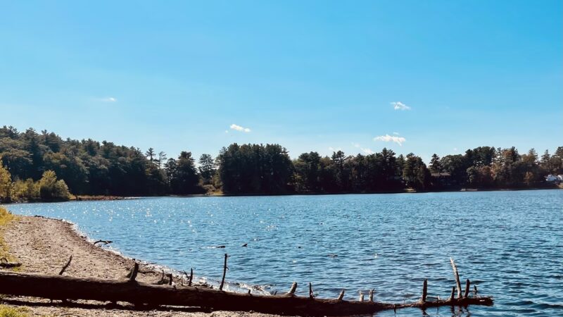 Willand Pond - Somersworth, NH