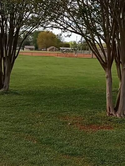 Huskey Park - Somerville, AL