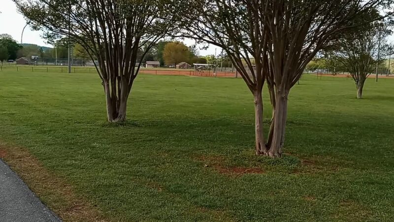 Huskey Park - Somerville, AL