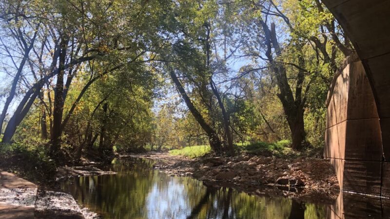 Firehouse Field - Somerville, NJ