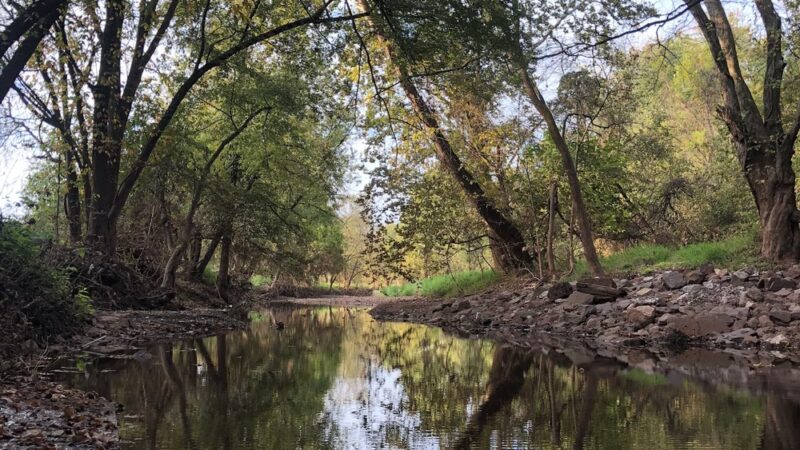 Firehouse Field - Somerville, NJ
