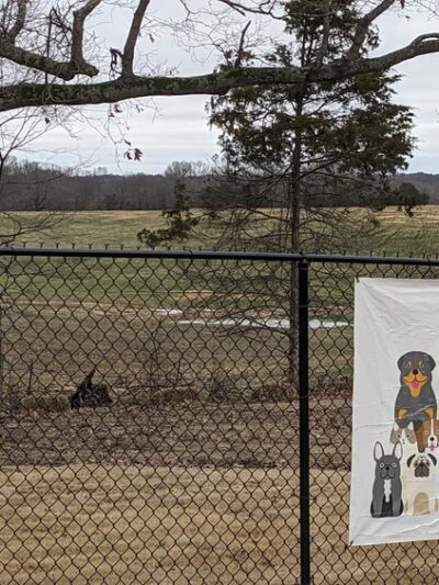 University Bark Park - Somerville, TN