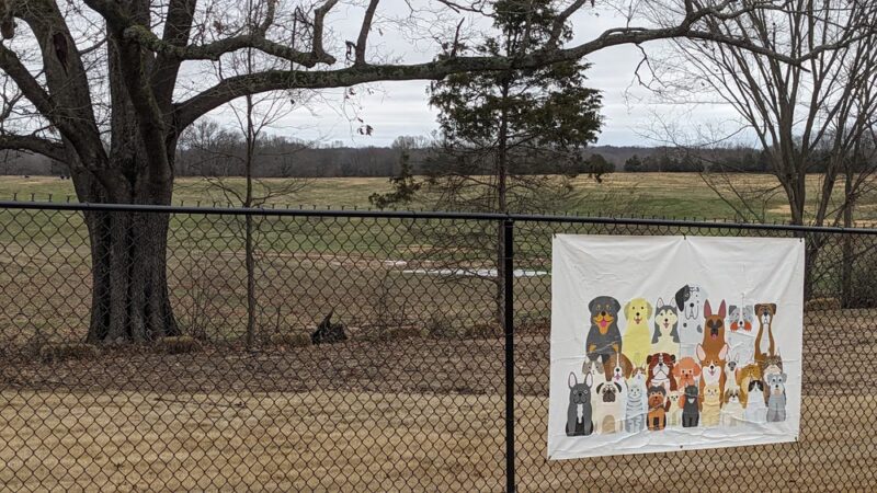 University Bark Park - Somerville, TN