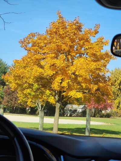 Somonauk Community Park - Somonauk, IL