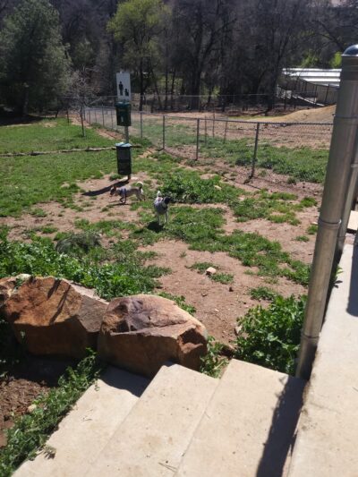 Sunrise Rotary Community Garden - Sonora, CA
