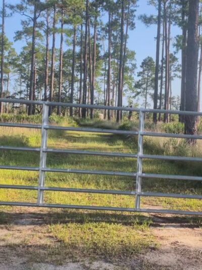 Ochlockonee River State Park - Sopchoppy, FL