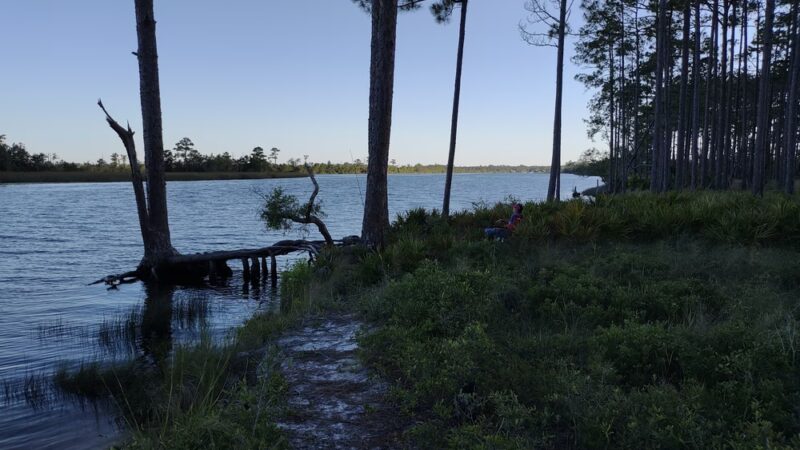 Ochlockonee River State Park - Sopchoppy, FL