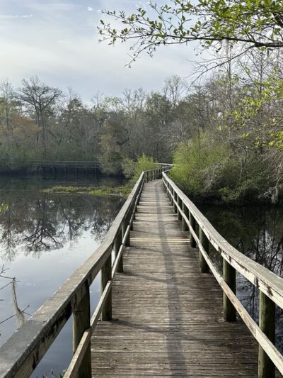 Myron B. Hodge City Park & Campground - Sopchoppy, FL