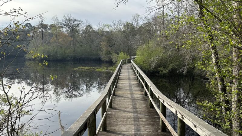 Myron B. Hodge City Park & Campground - Sopchoppy, FL