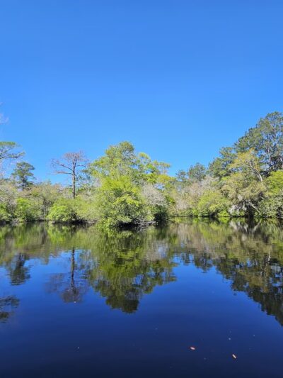 Myron B. Hodge City Park & Campground - Sopchoppy, FL