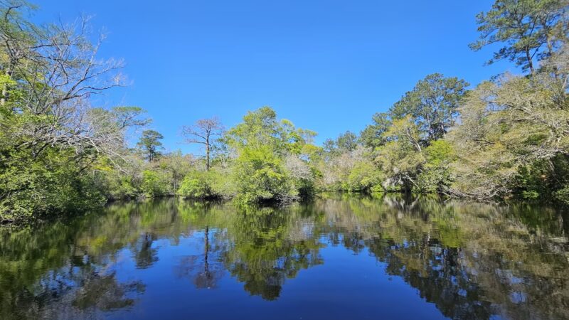 Myron B. Hodge City Park & Campground - Sopchoppy, FL
