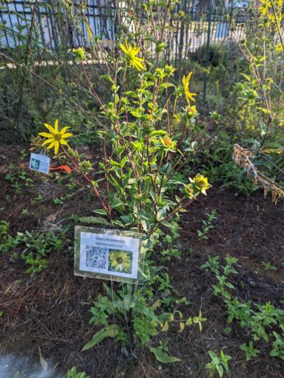 Sopchoppy Depot Park - Sopchoppy, FL