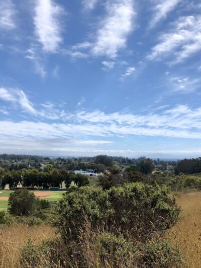 Anna Jean Cummings County Park - Soquel, CA