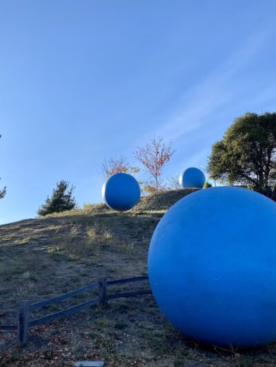 Anna Jean Cummings County Park - Soquel, CA