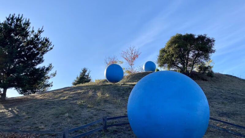 Anna Jean Cummings County Park - Soquel, CA