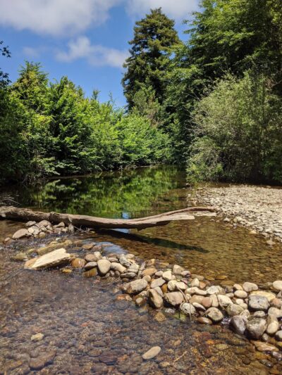 Heart of Soquel County Park - Soquel, CA