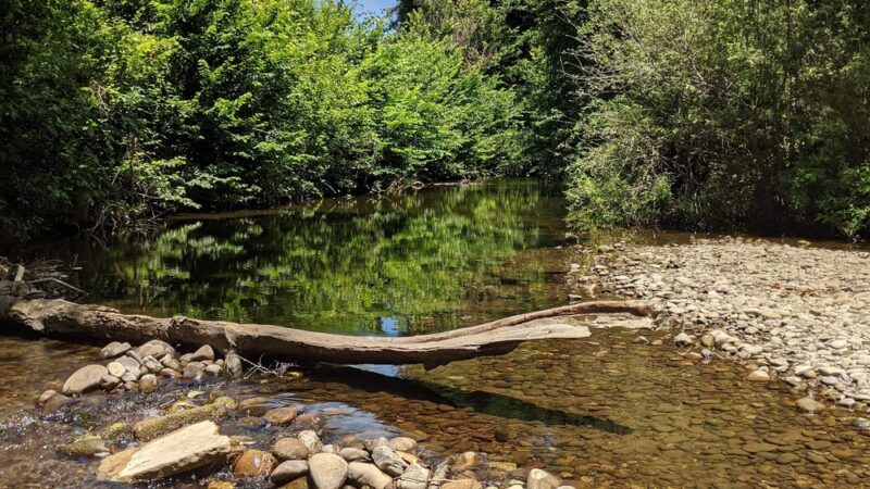 Heart of Soquel County Park - Soquel, CA