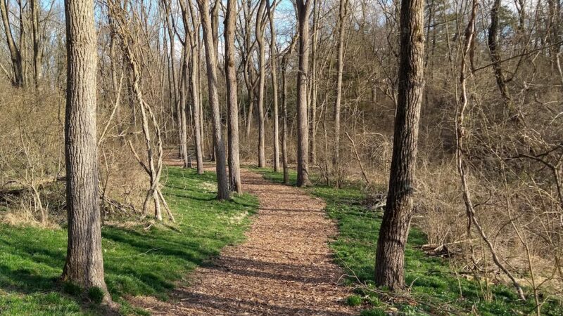 Enos B. Godshall Park - Souderton, PA