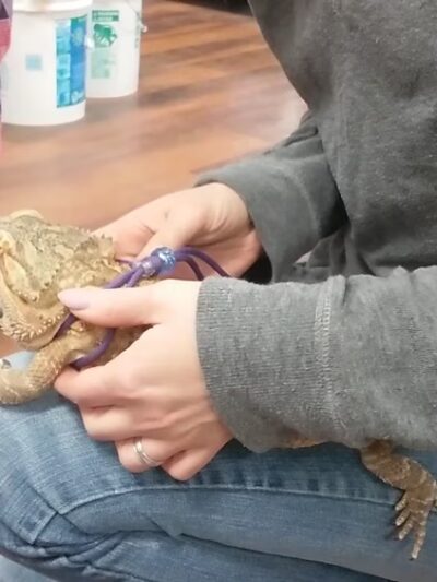 West Street Park - Souderton, PA