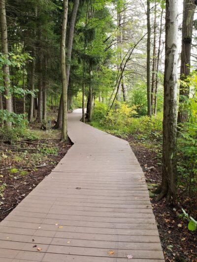 Hillside Park - South Abington Township, PA