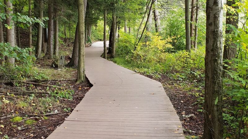 Hillside Park - South Abington Township, PA