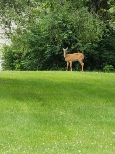 LaSalle Trail - South Bend, IN