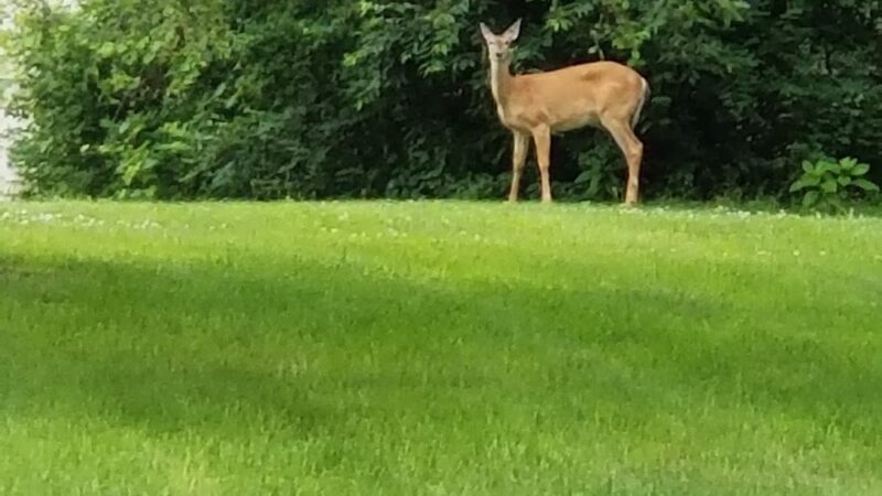 LaSalle Trail - South Bend, IN