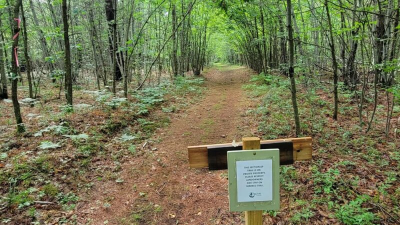 Desrochers Memorial Forest - South Berwick, ME