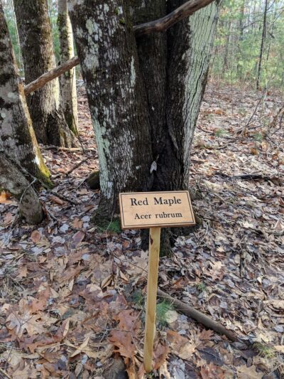 Desrochers Memorial Forest - South Berwick, ME