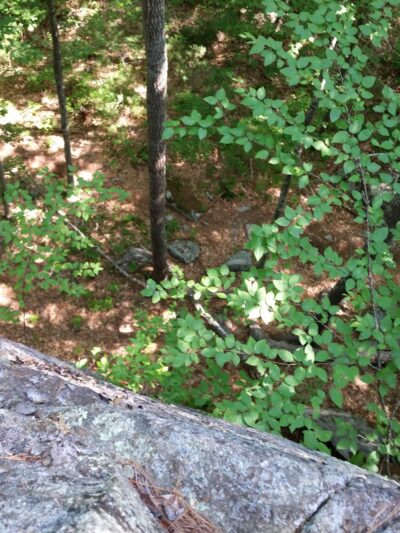 Kenyon Hill Preserve (Great Works Land Trust) - South Berwick, ME