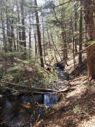 Orris Falls Conservation Area - South Berwick, ME