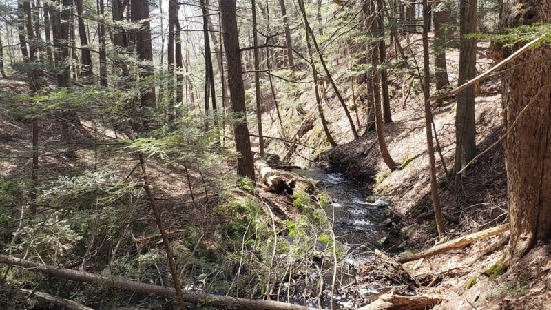 Orris Falls Conservation Area - South Berwick, ME