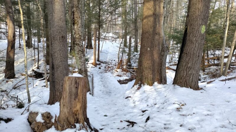 Parking for Orris Falls Conservation Area - South Berwick, ME