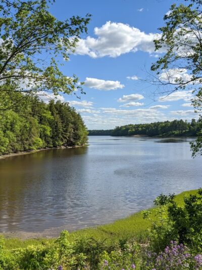 Vaughan Woods State Park - South Berwick, ME