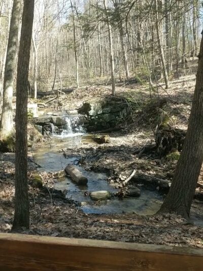 Vaughan Woods State Park - South Berwick, ME