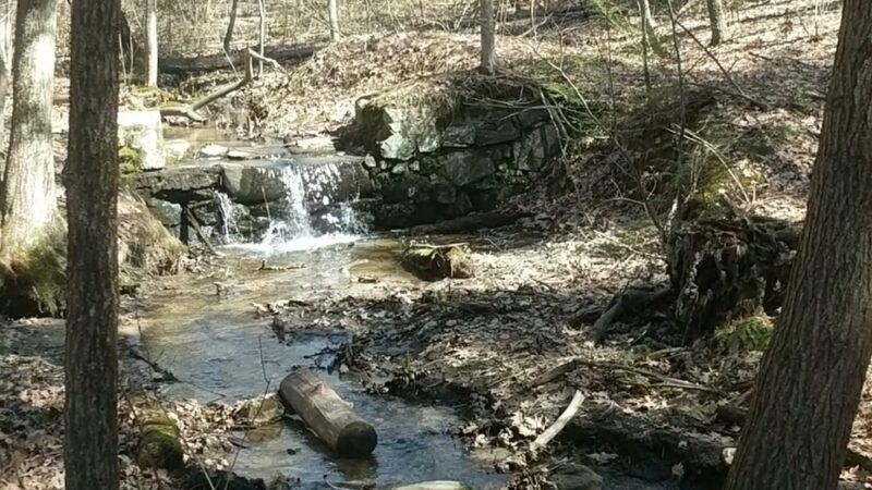 Vaughan Woods State Park - South Berwick, ME