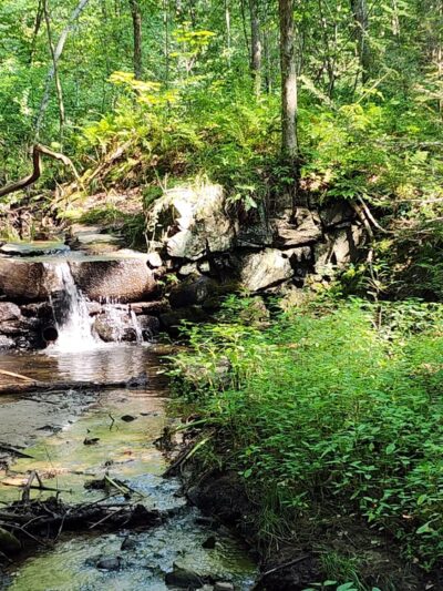 Vaughan Woods State Park - South Berwick, ME