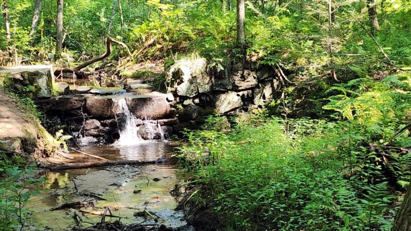 Vaughan Woods State Park - South Berwick, ME